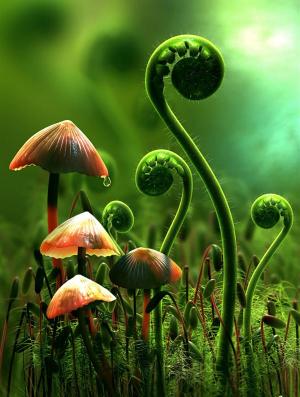 plantas 3D