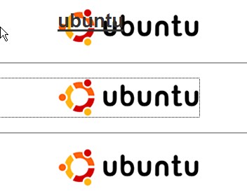 CSS Tutorial, Outline y logos protegidos