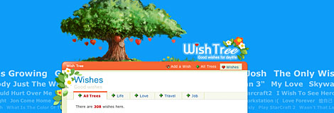CSS web designer