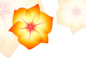 Tutorial Adobe Illustrator