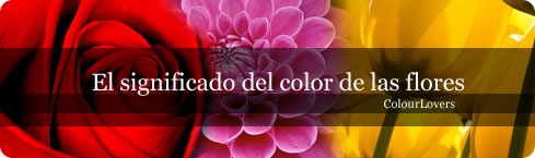 Significado de las flores para el dia del amor y la amistad