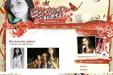 wordpress skin barbara