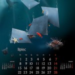 calendario-6