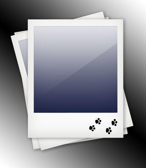 polaroid template by datamouse 100+ archivos PSD para descargar gratis