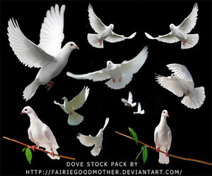 white dove stock pack by fairiegoodmother 100+ archivos PSD para descargar gratis