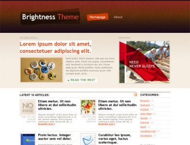 09-10_brightness 09 10 brightness 393x300 50 plantillas para wordpress gratis