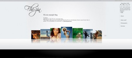 fhi-zin-1024x454 fhi zin 1024x454 450x199 Mejores temas para wordpress gratis