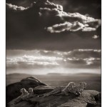 02_cheetah-cubs-lying-on-roc