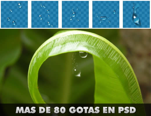 gotas gotas