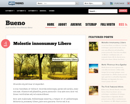 15 bueno 30 Increíbles Drupal themes gratis