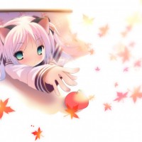 anime_wallpaper_reach-992x744