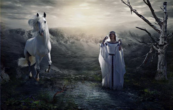 foto manipulada surreal caballo blanco