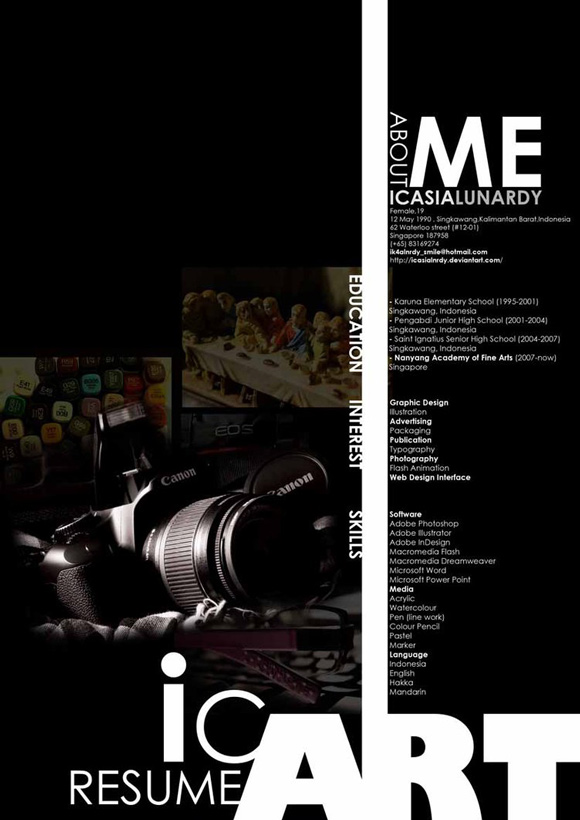 Diseños de currículums que impresionan - Frogx Three