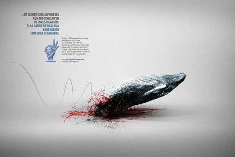 Ejemplos de publicidad con morbo Caza de ballenas