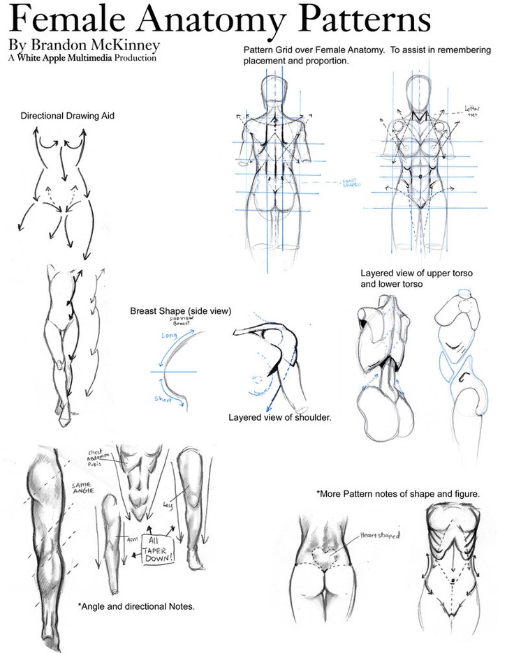 Como dibujar cuerpo de mujeres