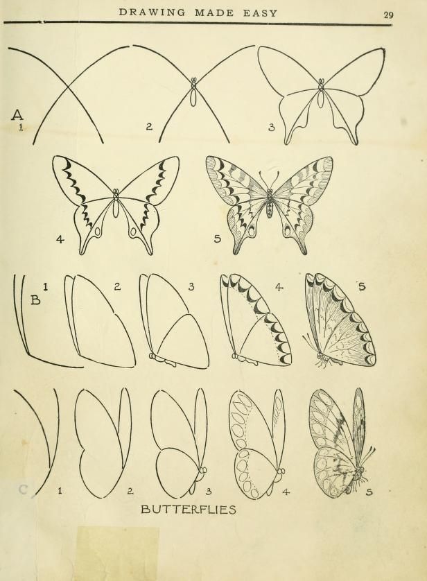 Como dibujar mariposas