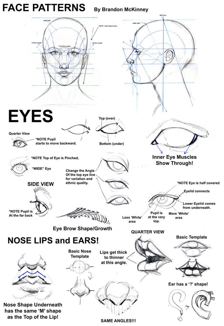 Como dibujar ojos, narices y orejas
