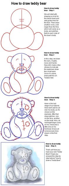 Como dibujar osos
