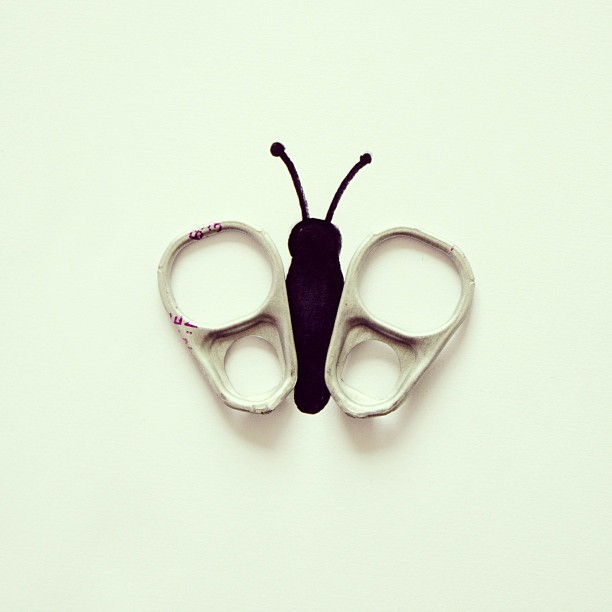 fotos conceptuales latas mariposa
