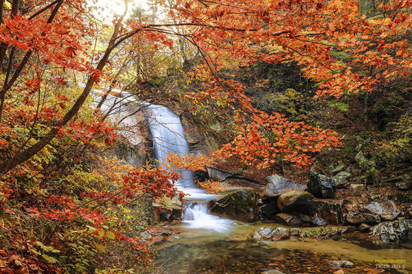 cascada de otoño waterfall-in-Autumn-2-by-Tiger-Seo