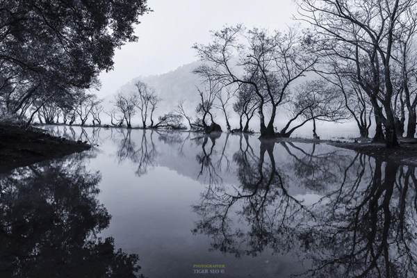 reflojos en lago reflection-by-Tiger-Seo