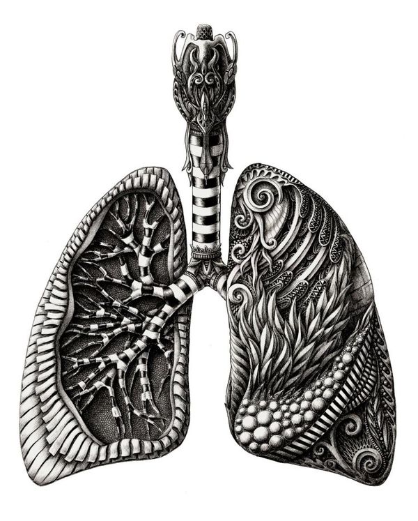 ilustraciones Alex Konahin pulmones