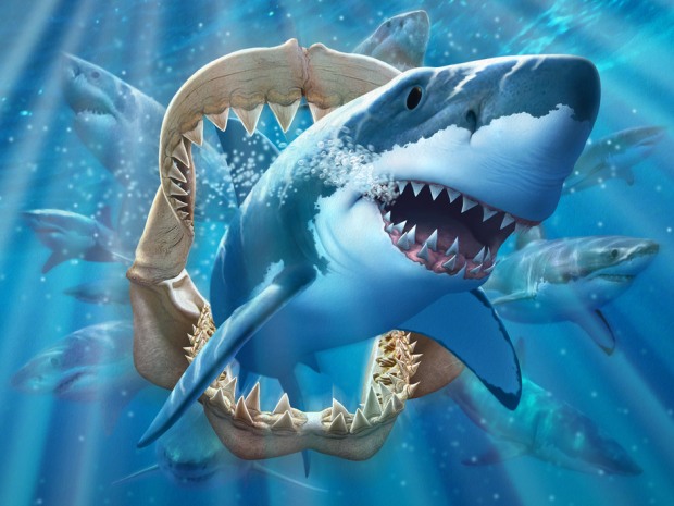 ilustraciones de animales tiburones