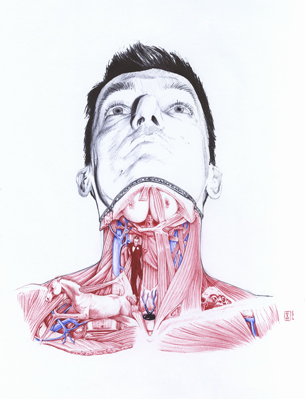 extrañas ilustraciones anatomia 2