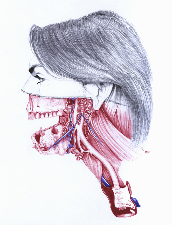 extrañas ilustraciones anatomia 3