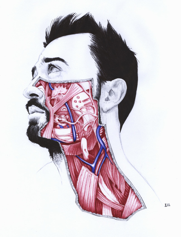 extrañas ilustraciones anatomia 4
