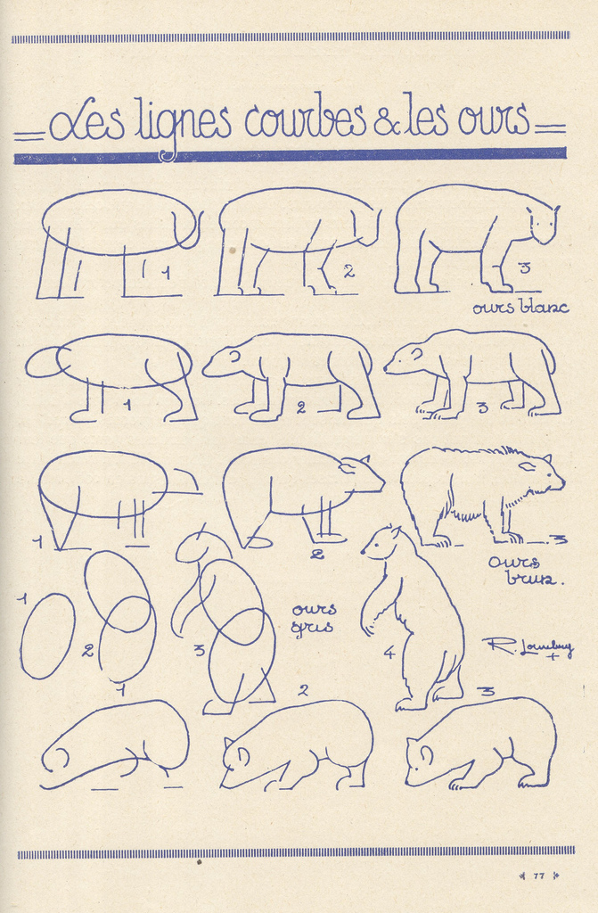 Como dibujar osos