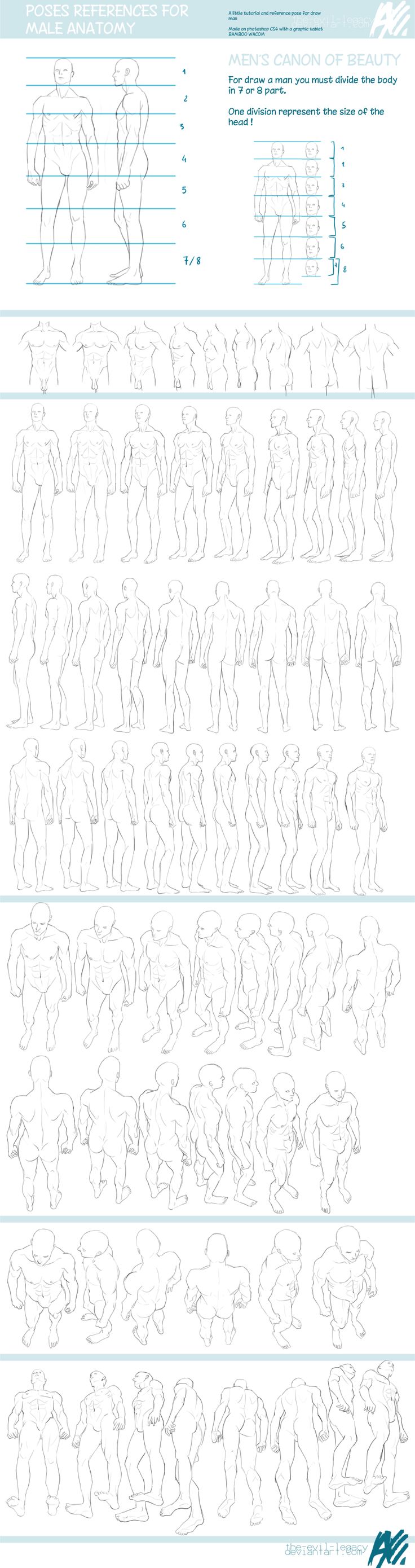 dibujo anatomia del cuerpo 6