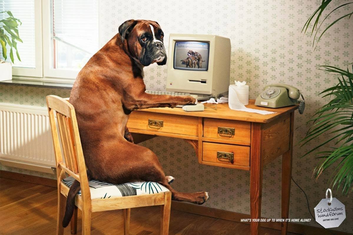 26 Carteles de publicidad con animales como protagoni... - Frogx Three