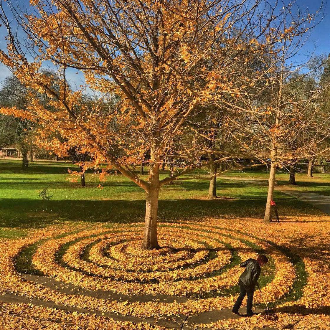 Land Art con hojas muertas por Joanna Hedrick - Frogx Three