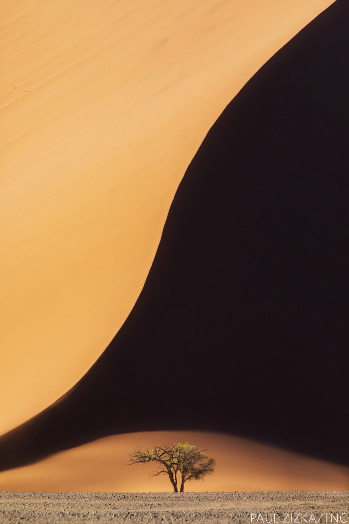 "Namibian Curves" (Paul Zizka, Canadá). Categoría "Paisaje"