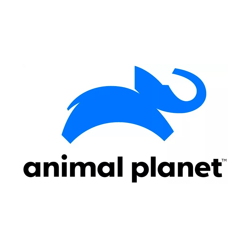 Animal Planet rediseña su logo y retoma a su emblem... - Frogx Three
