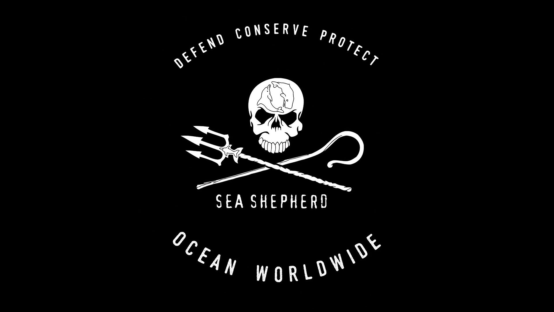 Campaña de Sea Shepherd muestra el impacto del plás… - Frogx Three