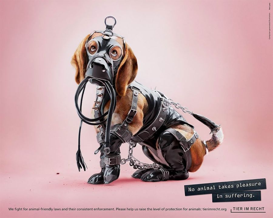publicidad contra el maltrato animal