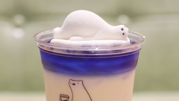 Osos polares en Café